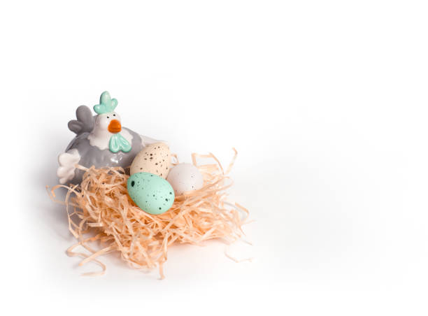 Porcelain glazed hen, Easter decor, stands near the nest. It contains quail Easter colored eggs. Image isolated on background