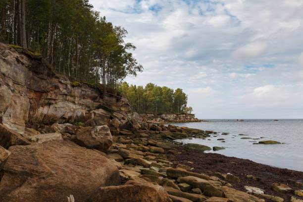 Baltic sea limestone rocky coast, cliff. Estonia.
