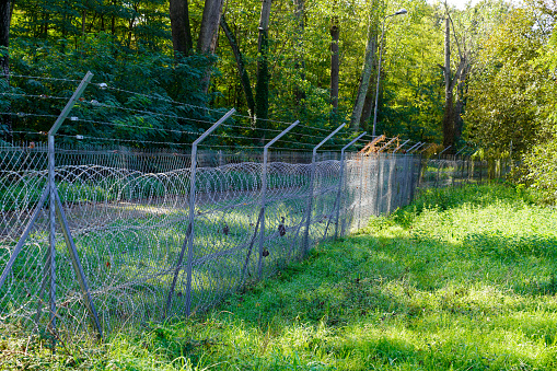 fence wall and barbed wire barrier as a secret private place or military base in nature green forest concept protection view