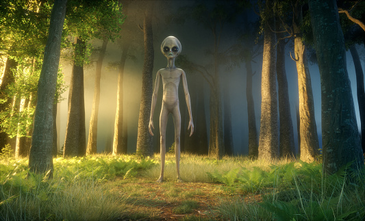Alien in forest. Unknown and ufo concept. This is a 3d render illustration.
