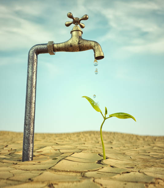 istock Faucet waterring a small plant on a dry land. Never give up and reconversion concept. 1462023832