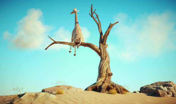 istock Giraffe stands on thin branch of withered tree in surreal landscape 1462023836