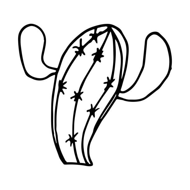 Cactus Picture Rodeo 100+ Rodeo Grounds Stock Illustrations, Royalty-Free Vector Graphics ...