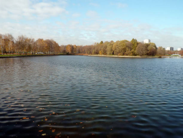 istock autumn in city park at day 1462035702