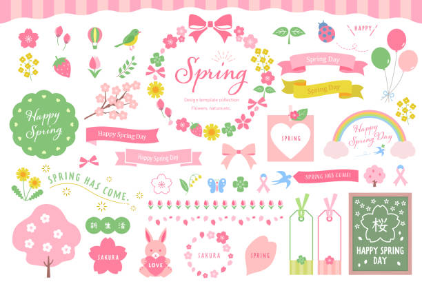 illustrations, cliparts, dessins animés et icônes de illustrations et décorations de printemps.cette collection comprend des sakura, des icônes, la nature, des ornements, des griffonnages, des rubans et plus encore. - cherry blossom flower head spring flower