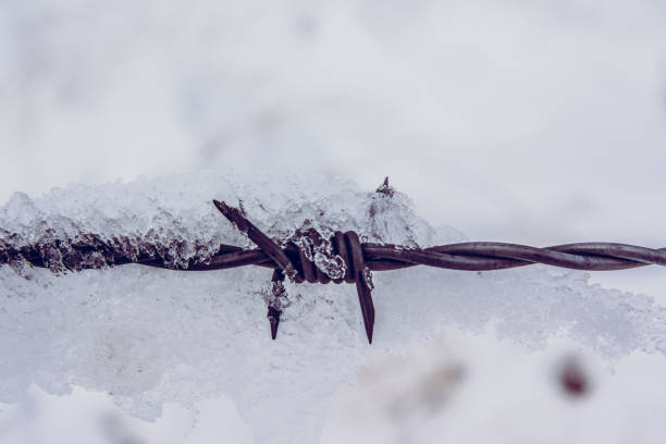 istock Snow day at Hanging Rock 1462053589