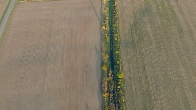 Aerial view of the fields with a line of trees as a border.