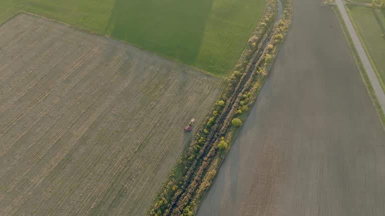 Aerial view of the fields with a line of trees as a border.