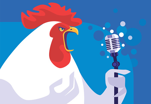 vector illustration of rooster holding microphone and singing