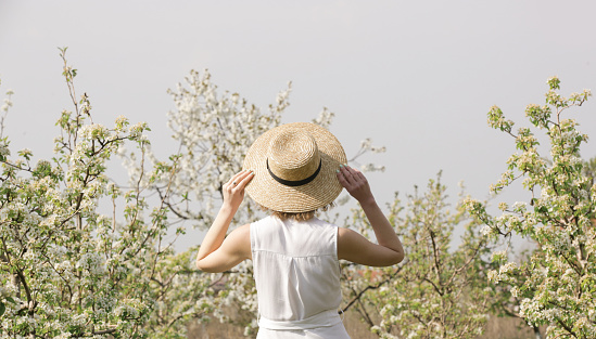 Young woman in white linen dress and straw hat enjoying nature in most beautiful flowering orchard, back view