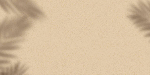istock Sand texture background with palm leaves silhouette,Coconut leaf Shadow on Brown Sandy Beach,Vector top view Sand Surface,Backdrop background Wide Horizon Desert dune for Summer Product Presentation 1462061106