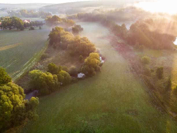 istock Beautiful green landscape with lush meadows and trees 1462061133