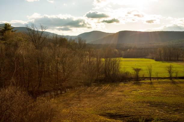 istock Beautiful countryside landscape on a sunny day 1462062821
