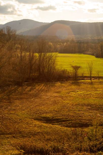 istock Beautiful countryside landscape on a sunny day 1462062823