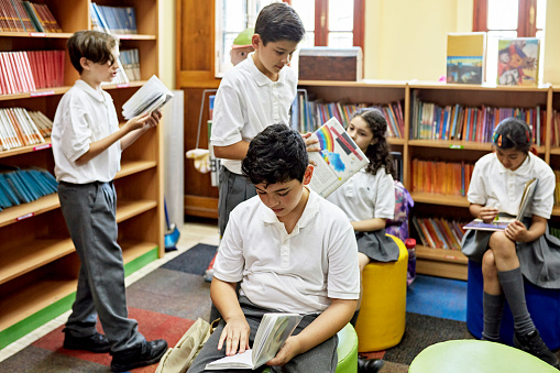 Pre-adolescent boys and girls in private school uniforms relaxing with literature in school library.