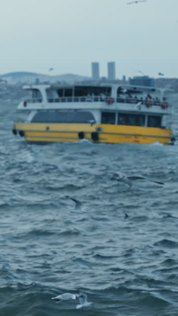 SLO MO A yellow tourist ship sails on rough seas and seagulls fly over the sea - VERTICAL