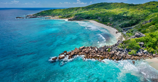 istock Aerial view of Beach Grand Anse, La Digue 1462070811