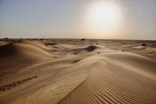 istock Sand dunes in a desert with a blue skyline and sunlight in the background 1462074339