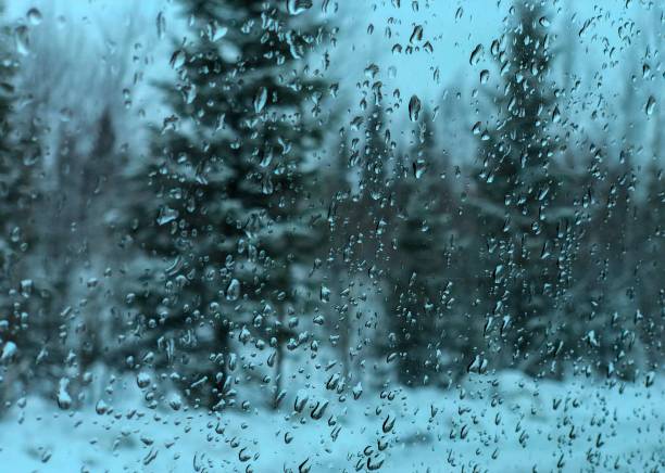 Winter Rain Drop - Free photo on Pixabay