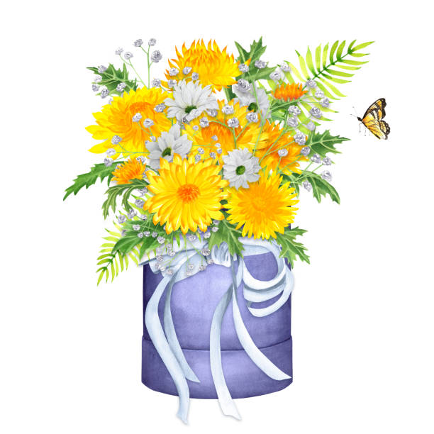 ilustrações de stock, clip art, desenhos animados e ícones de hand-drawn watercolor bouquet of white and yellow chrysanthemum flowers in a box with ribbons - gift box packaging drawing illustration and painting
