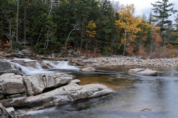 istock Rocky river in the forest 1462107959
