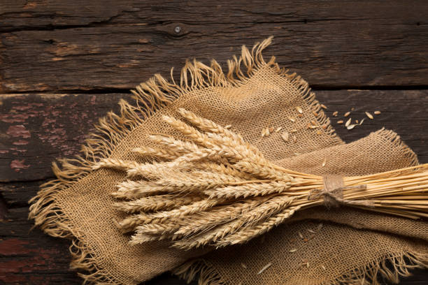 istock bread ears on a wooden table 1462111911