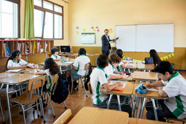 istock Schoolboys and girls listening to elementary educator 1462137916