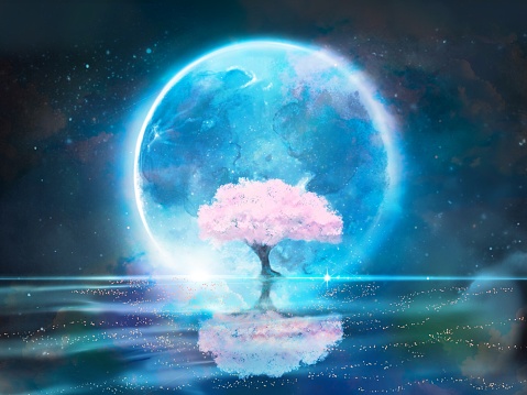 Fantasy background scenery illustration of blue full moon and cherry blossom trees in full bloom on the surface of water.
