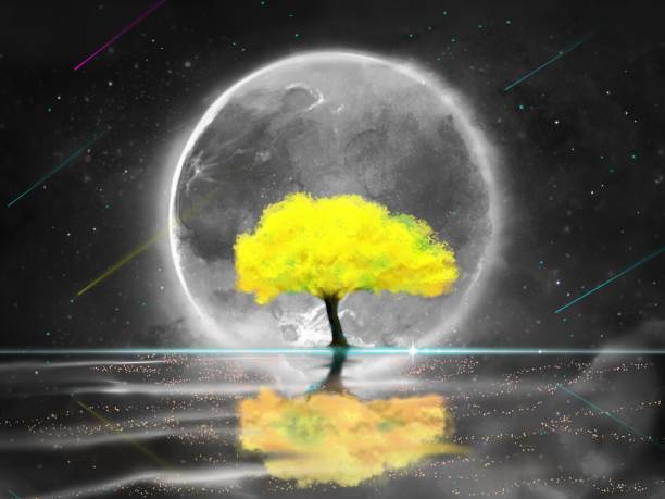 ilustrações, clipart, desenhos animados e ícones de árvore amarela de mimosa subindo acima do fundo do mar com lua cheia grande - spring clear sky night summer