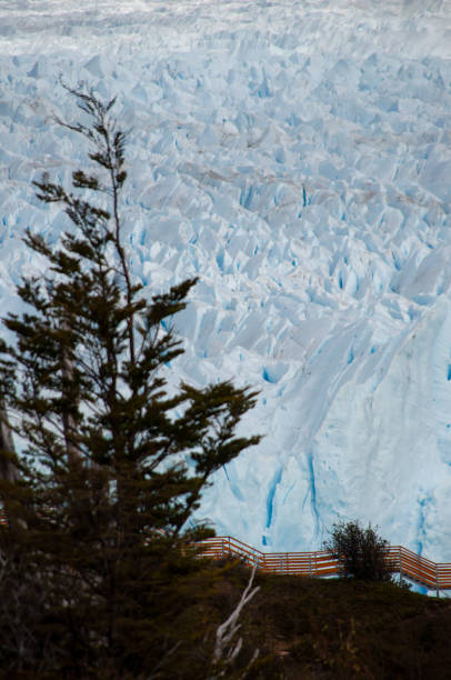 el glaciar perito moreno es una de las maravillas que existen en la patagonia argentina