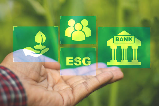 istock ESG investment 1462148542