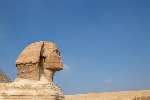 측면 프로필은 복사 공간과 푸른 맑은 하늘이 있는 기자 스핑크스의 전망을 닫습니다. 이집트 관광객 여행에 사람이 없습니다. - egypt pyramid ancient egyptian culture cloud 뉴스 사진 이미지