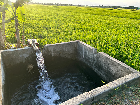 How they water rice fields in the Philippines. Multiple well water pumps are turned on and left to soak the rice fields. Taken with an iPhone 14 Pro