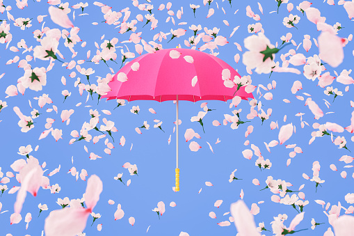 3D rendering of heap of gentle blooming flowers floating in air above bright pink umbrella against blue background