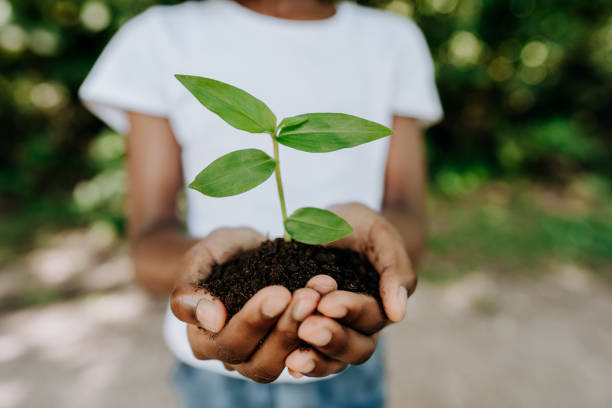istock Child planting a tree holding with hands 1462151119