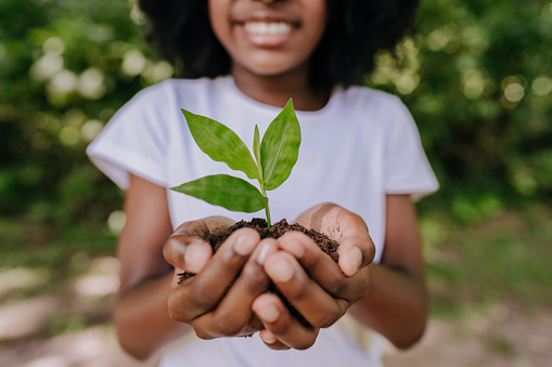Prevenir el calentamiento global, niña plantando un pequeño árbol photo