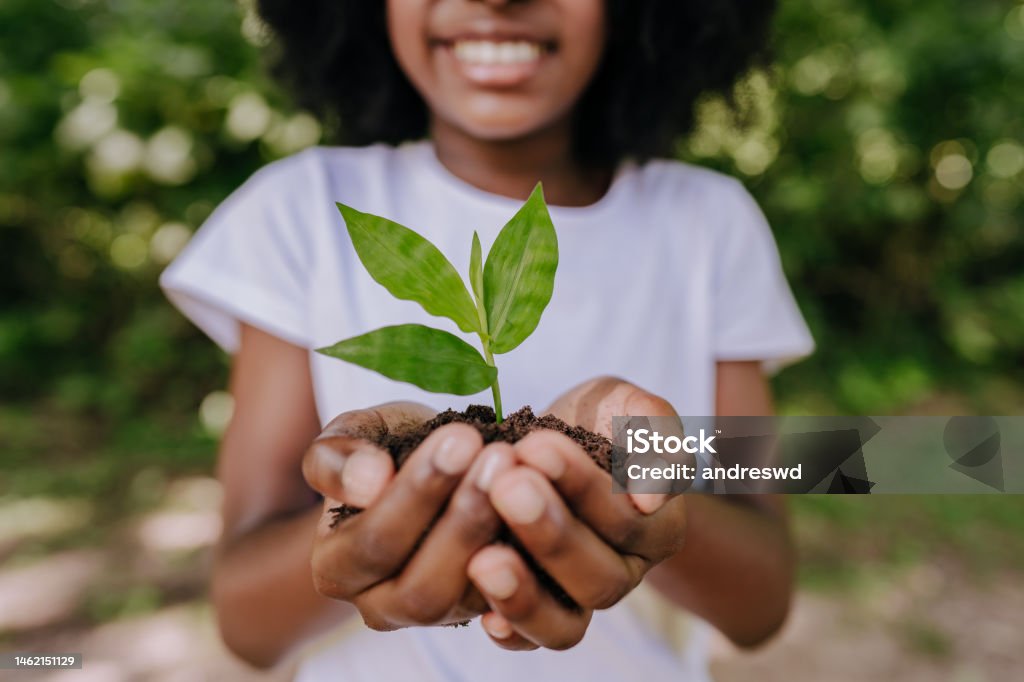 Prevent global warming, girl planting a small tree Environment Stock Photo