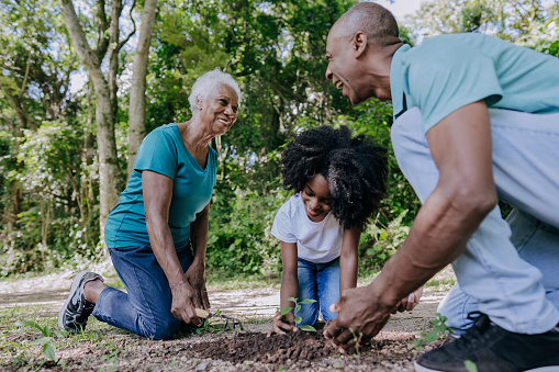 Three generation family planting a tree