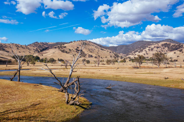 istock Mitta Valley Lookout in Australia 1462152239