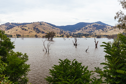The view from Mitta Valley Lookout of flooded water around Tallangatta Rail Bridge and Lake Hume in Victoria, Australia
