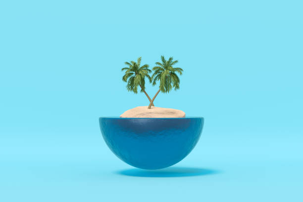 istock Summer Holiday on Island with Palm Tree 1462158261