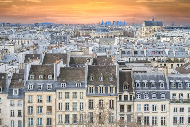 istock Paris, beautiful facades and roofs, aerial view 1462159619