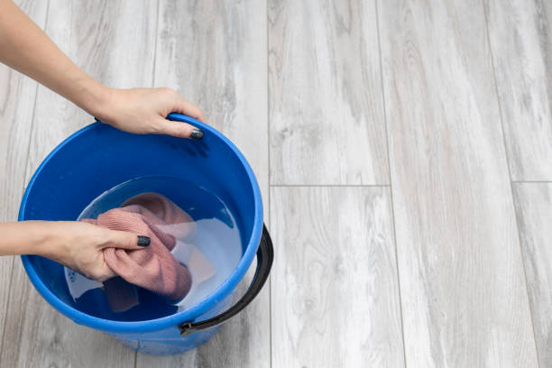 istock woman wets a rag in a bucket while cleaning. 1462172401