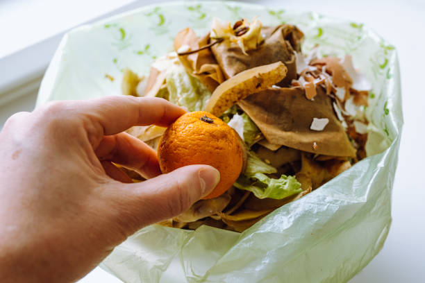 istock woman's hand throws spoiled tangerine into trash can with food waste 1462180251