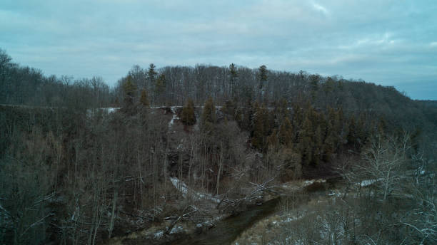 istock A Creek in a forested valley on a cloudy day in the winter 1462185115