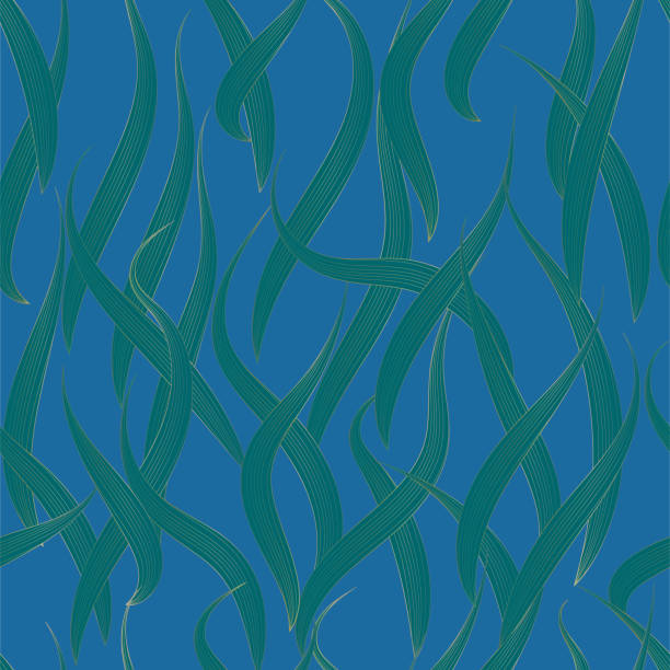векторные водоросли текстуры бесшовные фон шаблона. - wave pattern pattern green seaweed stock illustrations