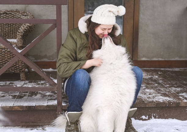 young woman with samoyed dog outdoors in winter