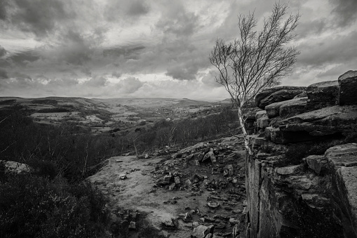 A lone tree on a cliff edge with Hathersage and the Peak District of Derbyshire in the distance.