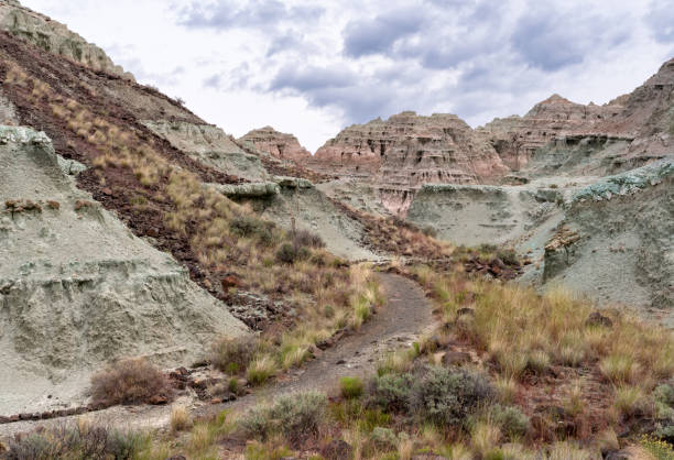 istock Foot trail leading through ancient rock formations in the Blue Basin in Central Oregon. 1462188329