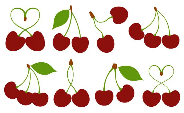 Vector illustration of Illustration of different cherries